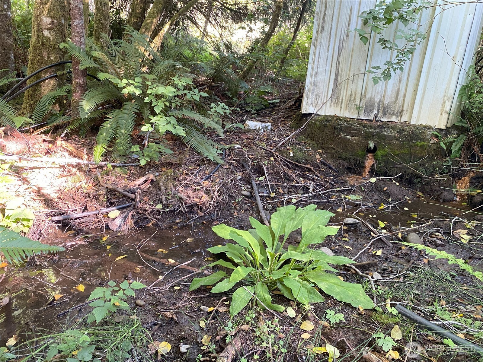 565 Kallman Road Forks, WA 98331 - Photo 9 of 27