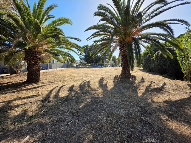 a view of ocean with palm trees