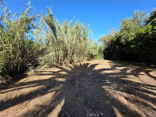 a view of backyard of house