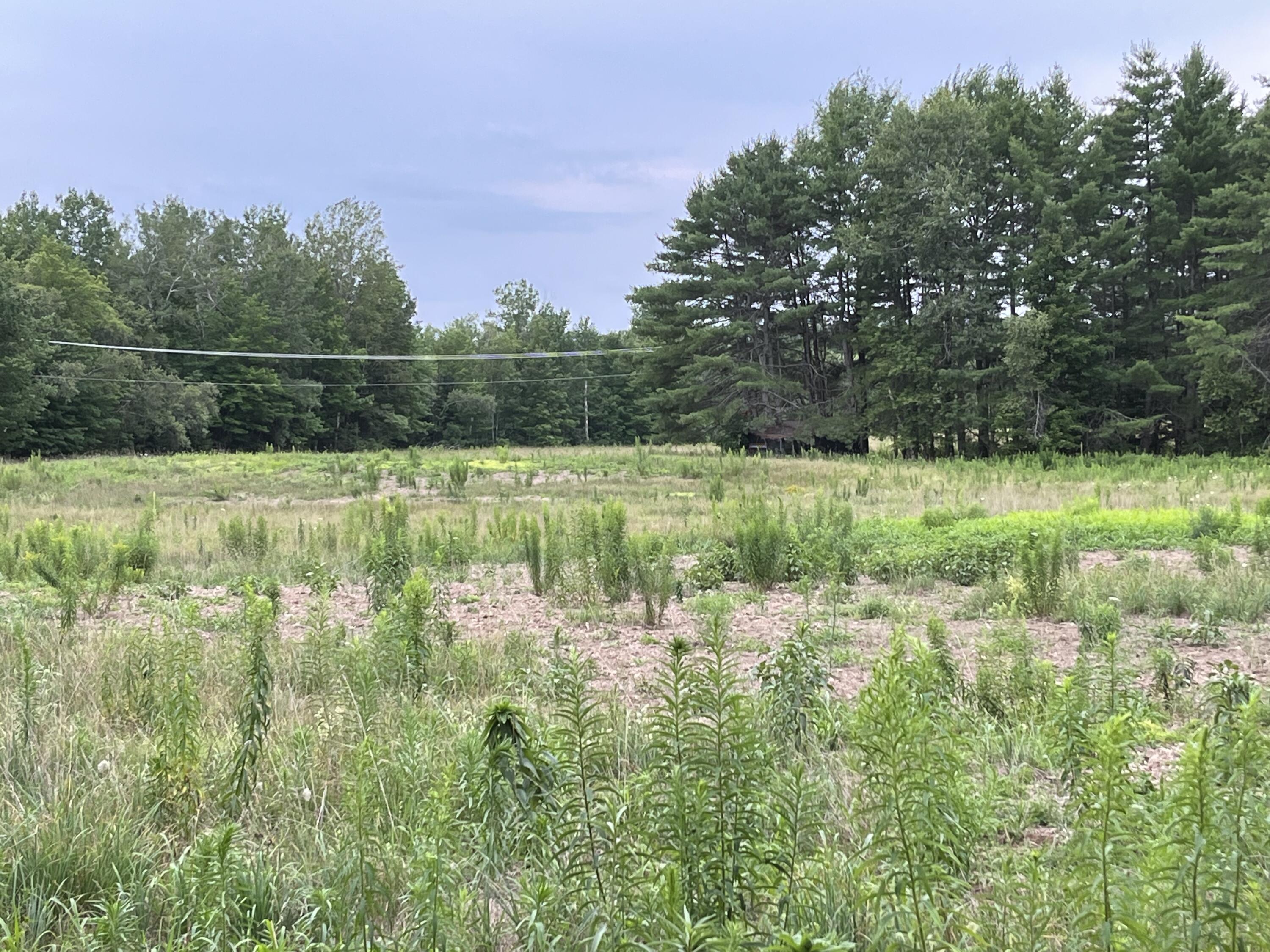 101 Sitka Way Norridgewock, ME 04957 - Photo 17 of 17 IMG_7211