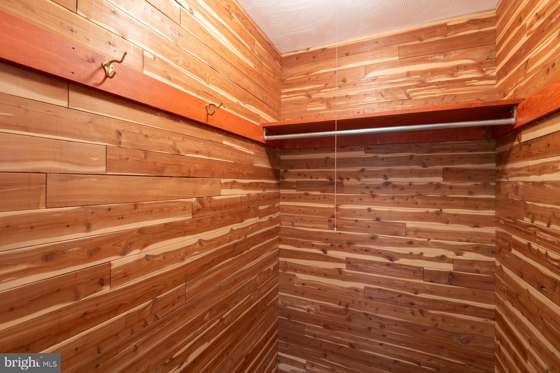 1120 Haymaker Road State College, PA 16801 - Photo 32 of 53 Walk in cedar closet in hallway