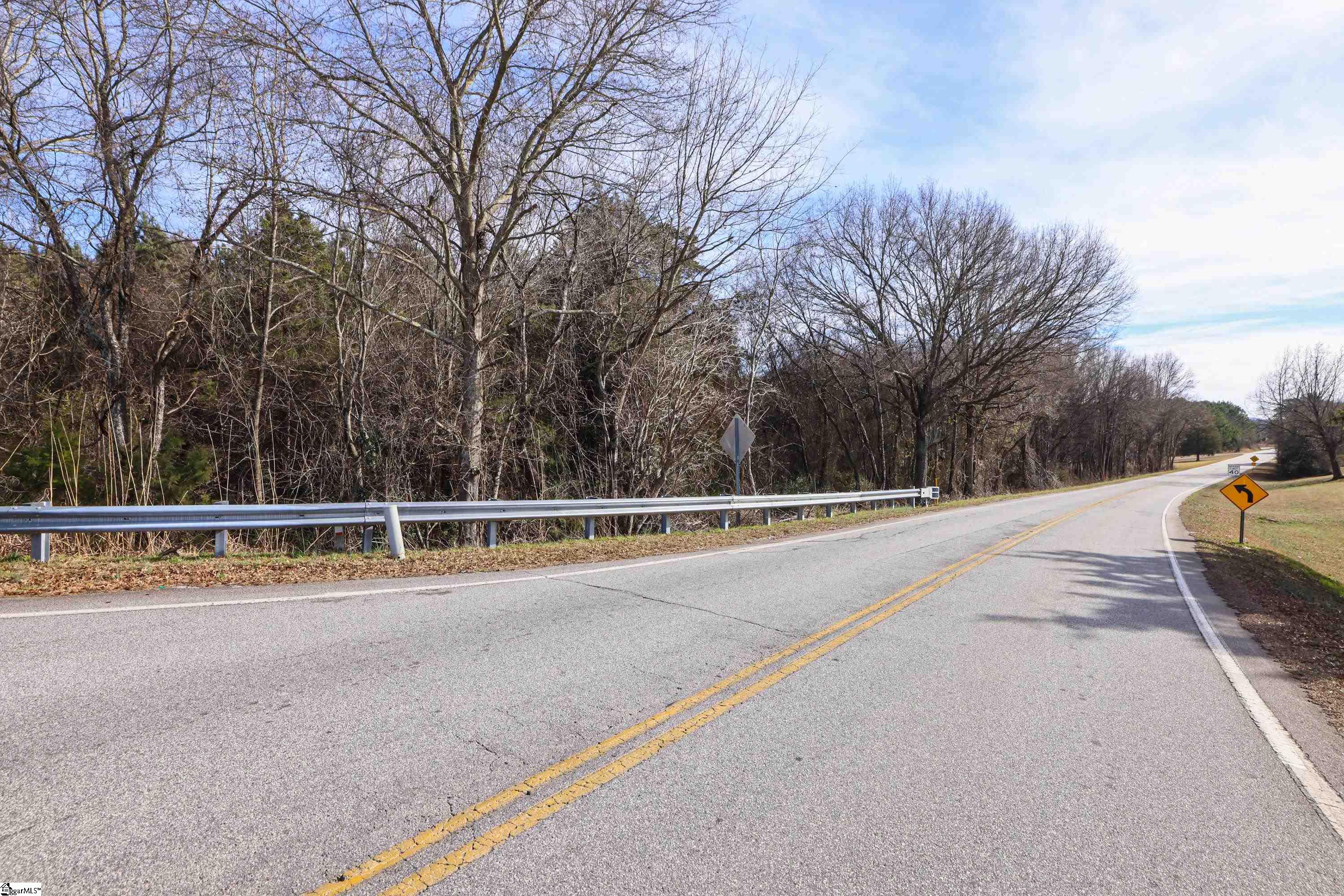 Lot 4 Reidville Road, Unit LOT 4B 3 ACRES Williamston, SC 29697 - Photo 10 of 14