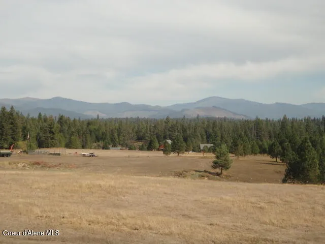 $795,000 | 149 Meadow Road, St. Maries, ID 83861