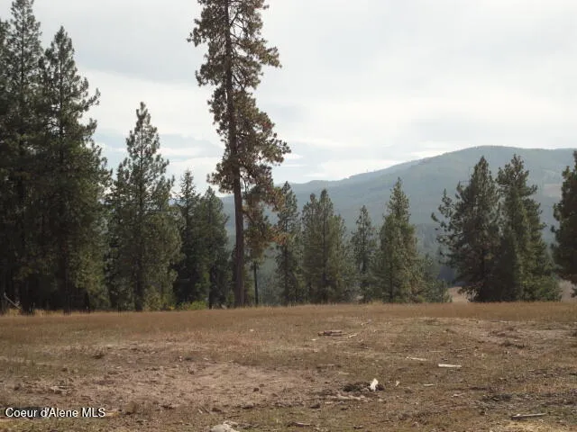 $795,000 | 149 Meadow Road, St. Maries, ID 83861