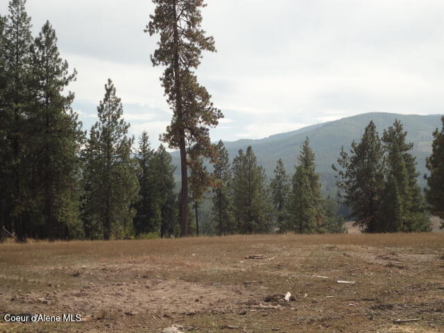 149 Meadow Road St. Maries, ID 83861 - Photo 5 of 40 DSC05100