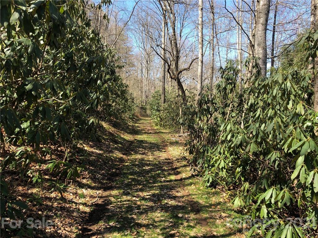 10 Baker Road Arden, NC 28704 - Photo 3 of 15 Gallery Image 3
