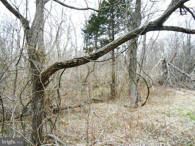 1 Goldmiller Road Gerrardstown, WV 25420 - Photo 2 of 11 Exterior (General)