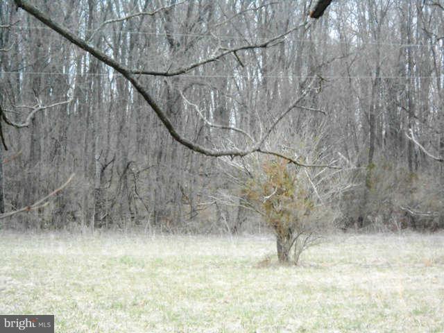 1 Goldmiller Road Gerrardstown, WV 25420 - Photo 4 of 11 Exterior (General)