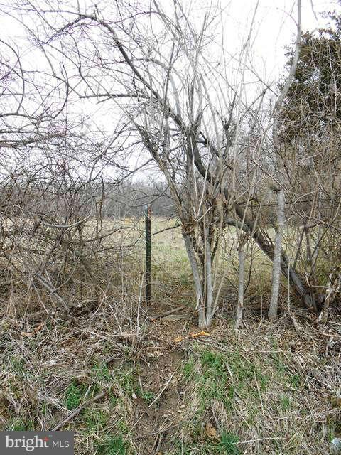 1 Goldmiller Road Gerrardstown, WV 25420 - Photo 6 of 11 Exterior (General)