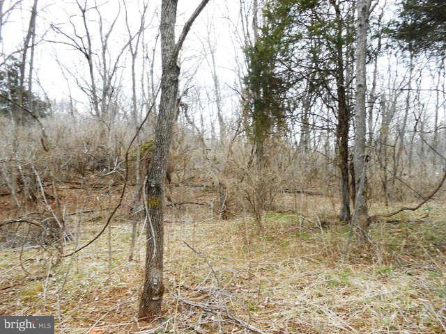 1 Goldmiller Road Gerrardstown, WV 25420 - Photo 7 of 11 Exterior (Front)
