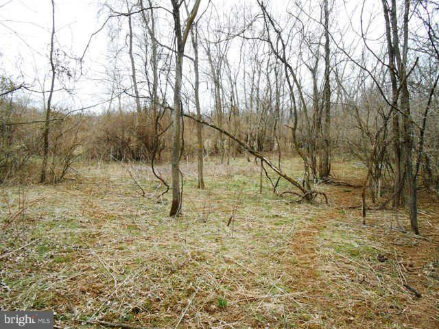 1 Goldmiller Road Gerrardstown, WV 25420 - Photo 8 of 11 Exterior (General)