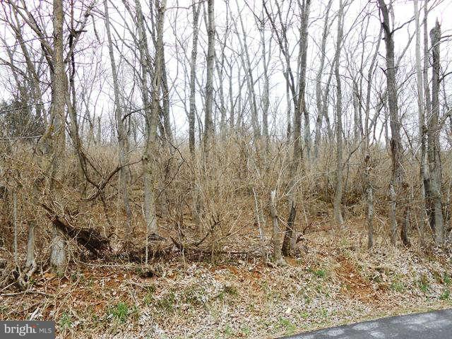 1 Goldmiller Road Gerrardstown, WV 25420 - Photo 9 of 11 Exterior (General)