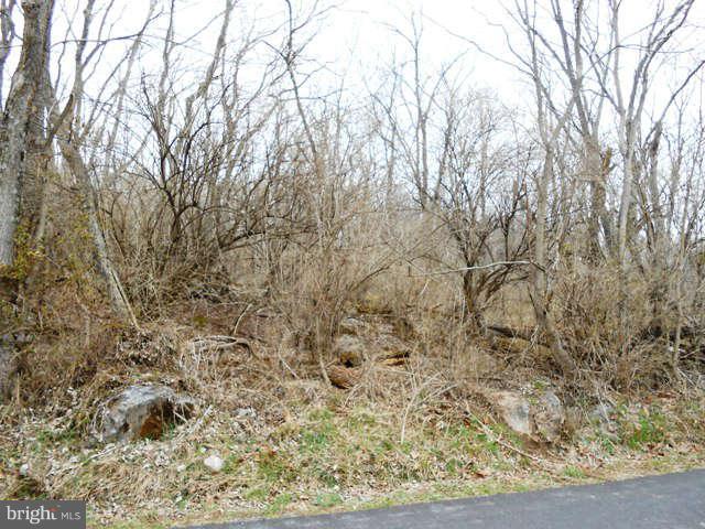 1 Goldmiller Road Gerrardstown, WV 25420 - Photo 10 of 11 Exterior (General)