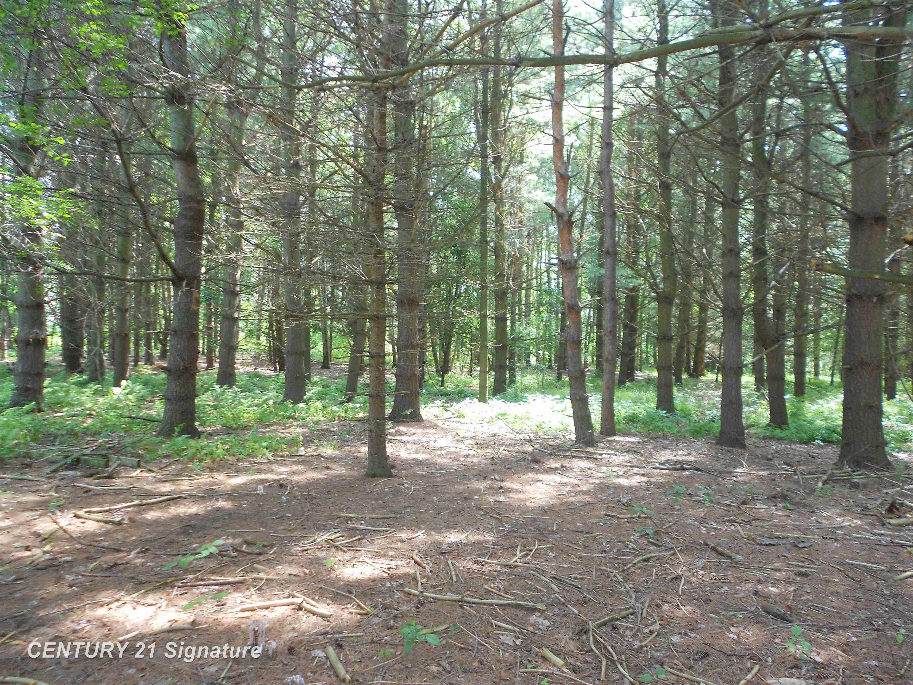 11743 Scott Road Freeland, MI 48623 - Photo 69 of 72