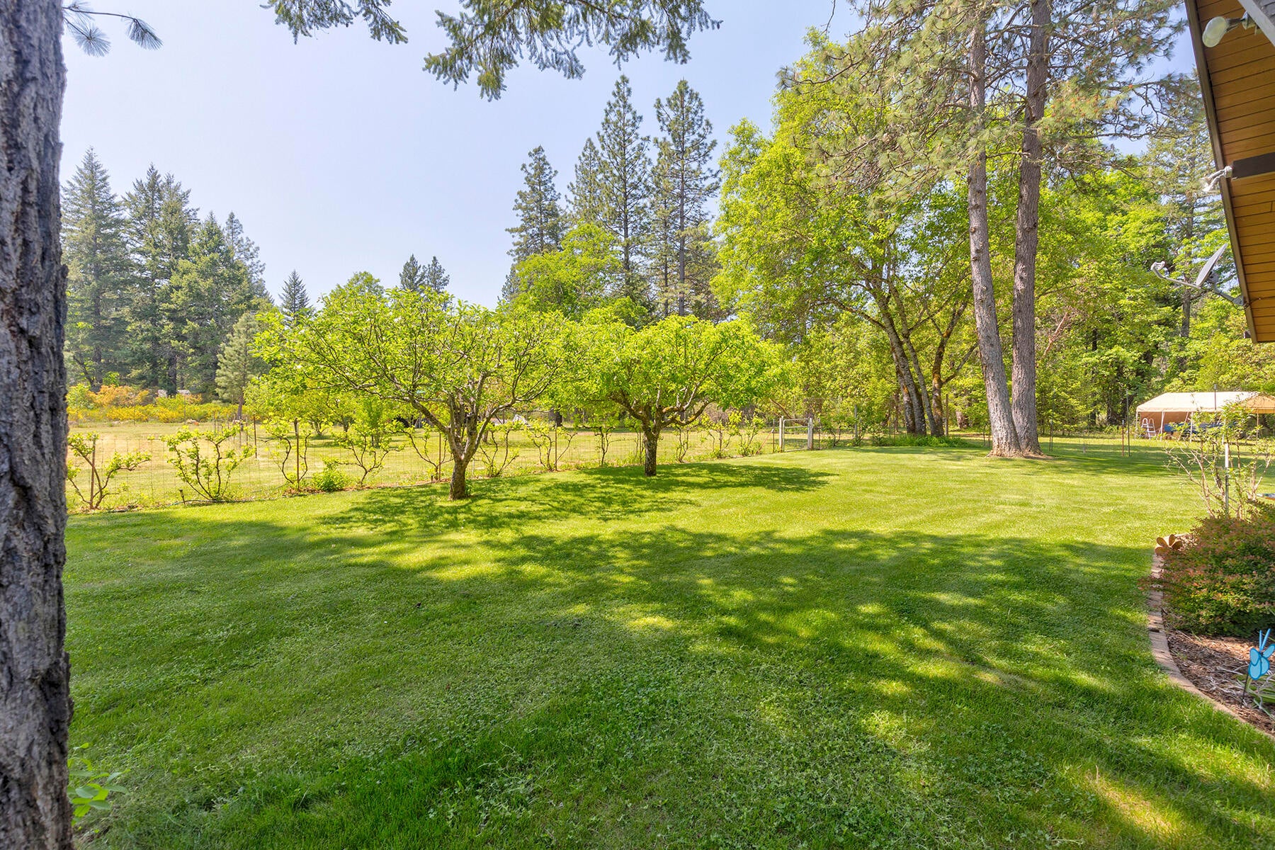 4161 Takilma Road Cave Junction, OR 97523 - Photo 50 of 74 0R1A1216_17_18_19_20