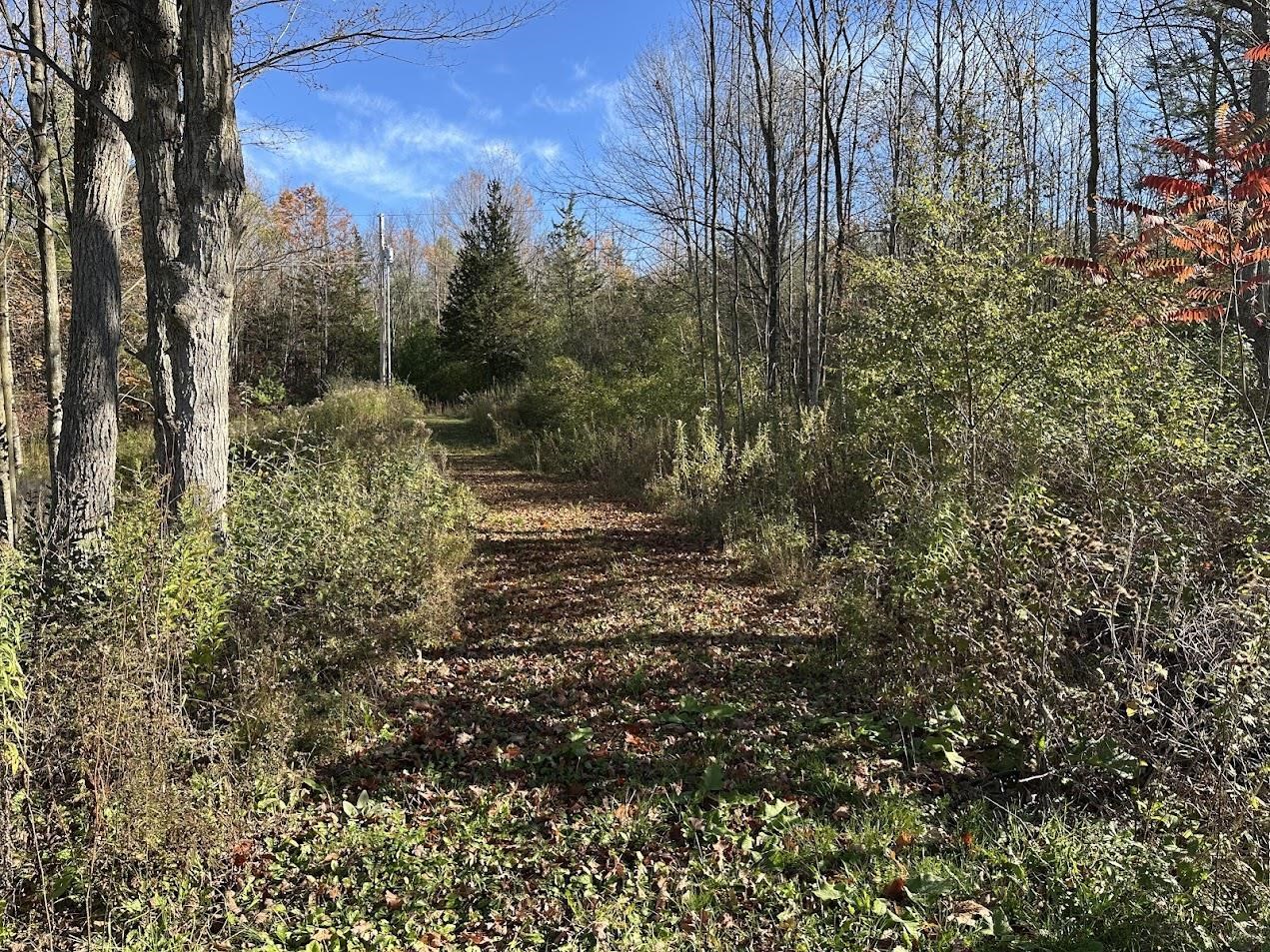 744 Webster Road Shoreham, VT 05778 - Photo 11 of 31