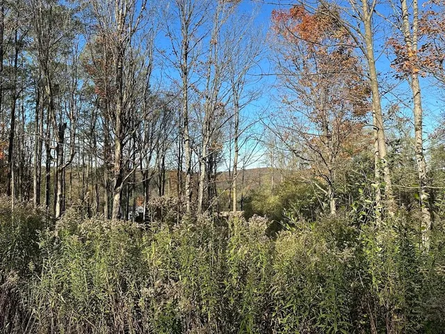 $325,000 | 744 Webster Road, Shoreham, VT 05778