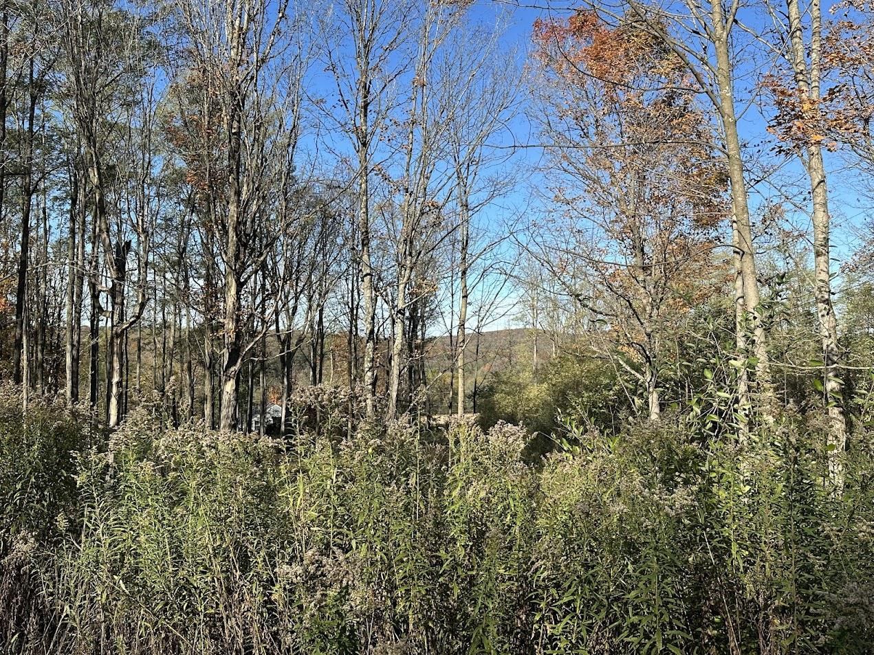 744 Webster Road Shoreham, VT 05778 - Photo 14 of 31