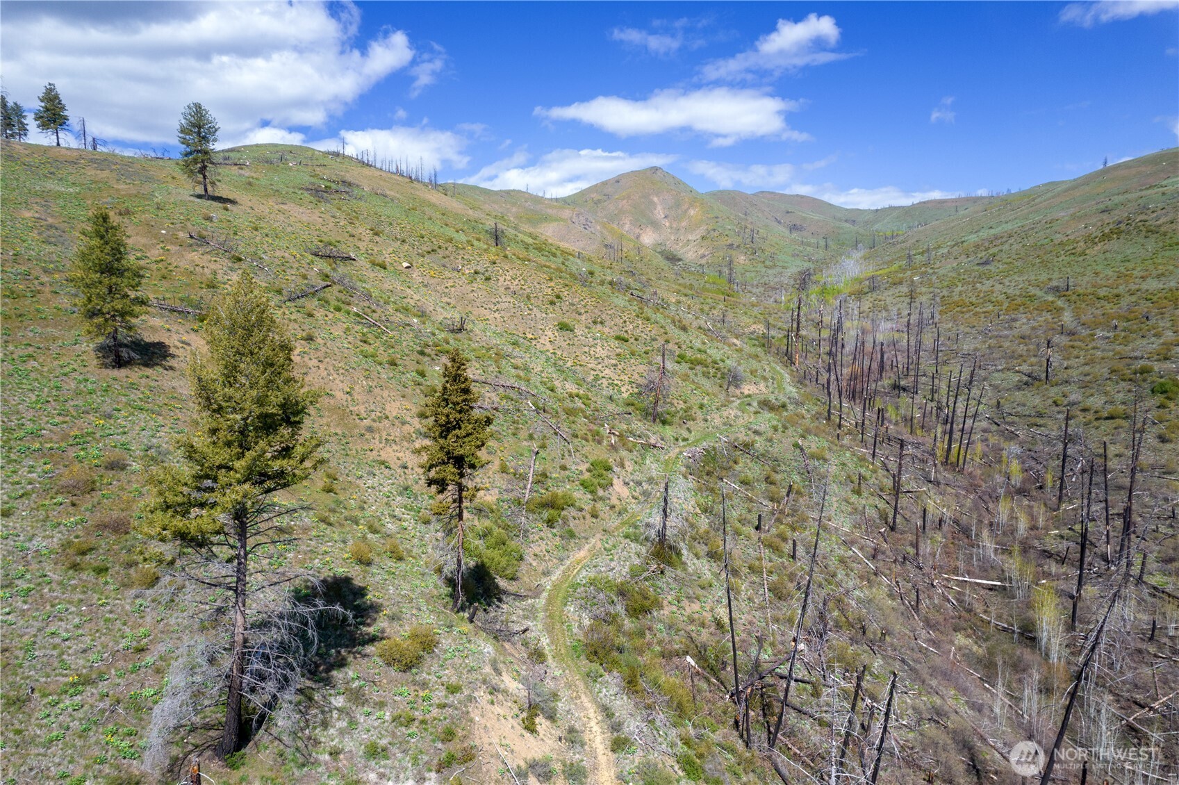 8 Myer Creek Road Twisp, WA 98856 - Photo 2 of 31 Gallery Image 2