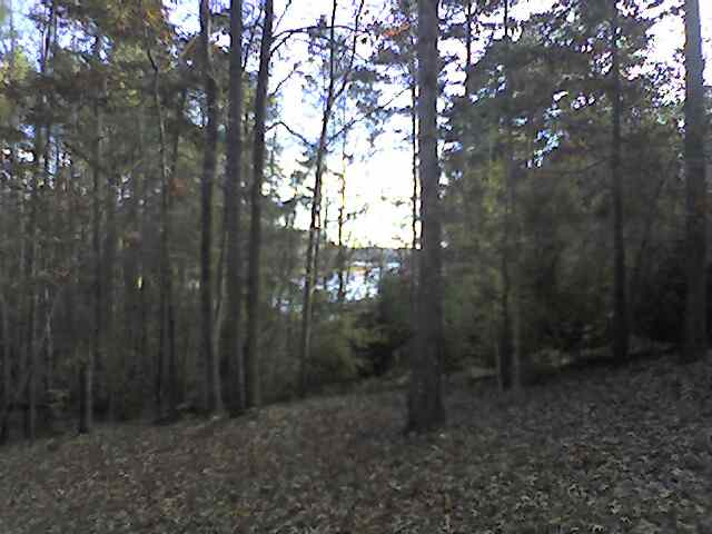 857 Shelor Ferry Road Fair Play, SC 29643 - Photo 3 of 4 Gallery Image 3