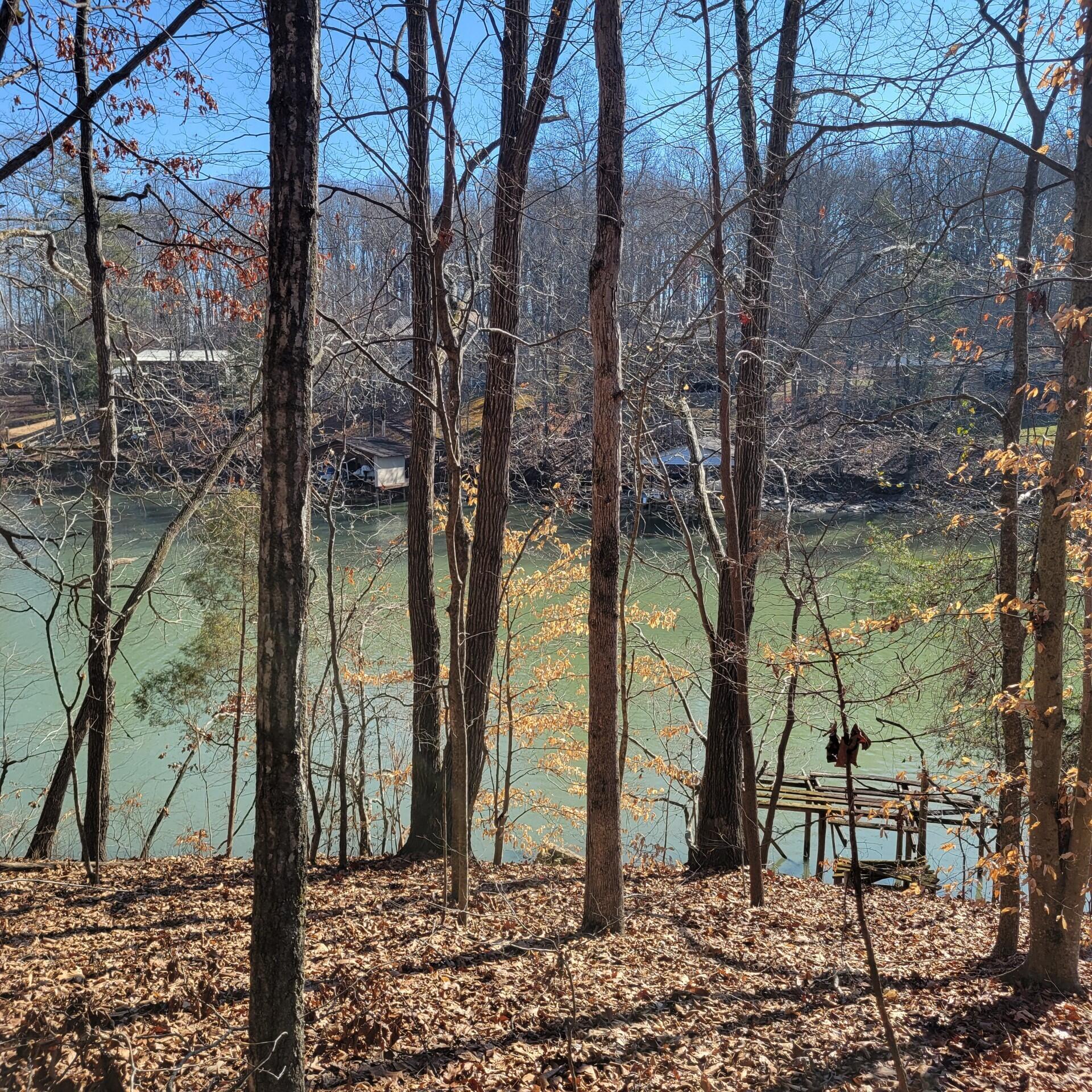 0 Toestring Cove Rd Spring Spring City, TN 37381 - Photo 3 of 5 0 Toestring Cove Rd trees and Water