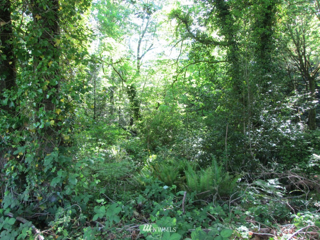 616 Delano Road Southwest Lakebay, WA 98349 - Photo 6 of 10 a view of a lush green forest
