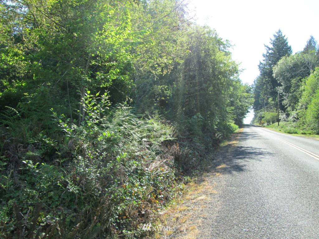 616 Delano Road Southwest Lakebay, WA 98349 - Photo 7 of 10 a view of a forest with trees