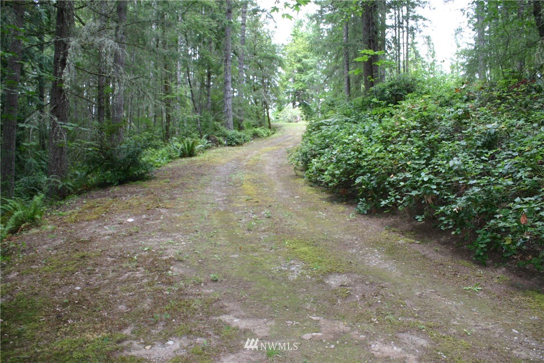 3051 Southeast Spring Creek Road Port Orchard, WA 98367 - Photo 2 of 10 Gallery Image 2