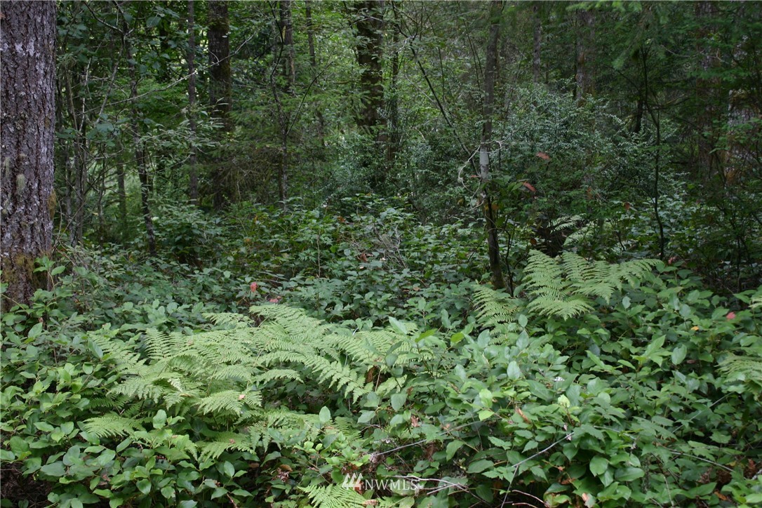 3051 Southeast Spring Creek Road Port Orchard, WA 98367 - Photo 3 of 10 Gallery Image 3