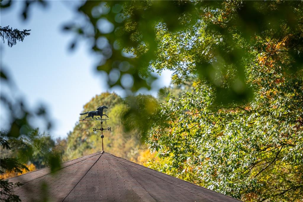 2065 Fairhill Road Sewickley, PA 15143 - Photo 32 of 45 a view of a tree with plants