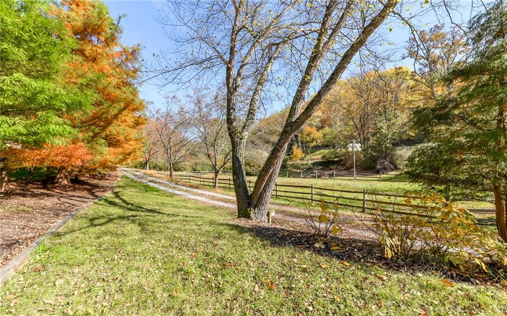 2065 Fairhill Road Sewickley, PA 15143 - Photo 34 of 45 a view of a yard with large trees