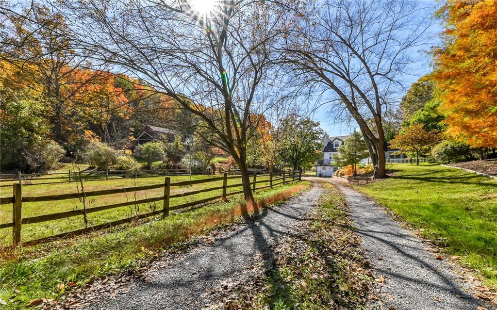 2065 Fairhill Road Sewickley, PA 15143 - Photo 40 of 45 a view of park with tree
