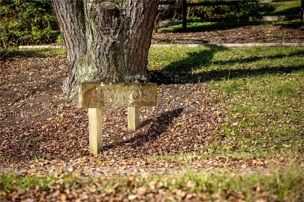 2065 Fairhill Road Sewickley, PA 15143 - Photo 5 of 45 a backyard of a house with lots of green space