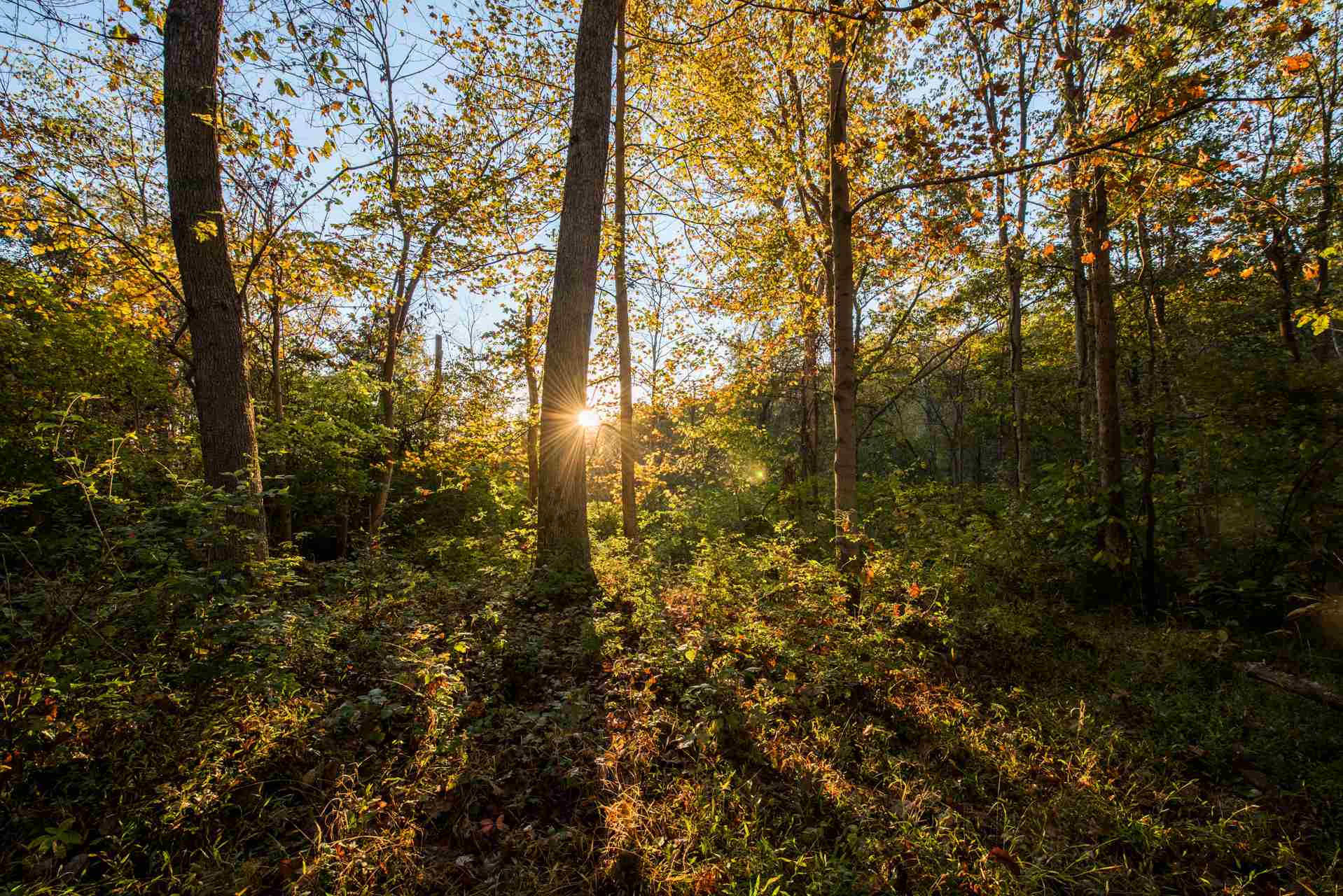 0 Bradford Tract B Road Foster, KY 41043 - Photo 8 of 9