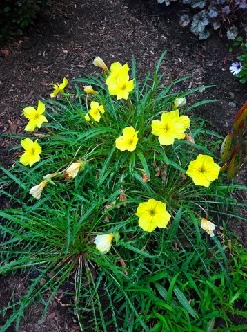 $559,000 | 139 Five Road, Carmel, ME 04419