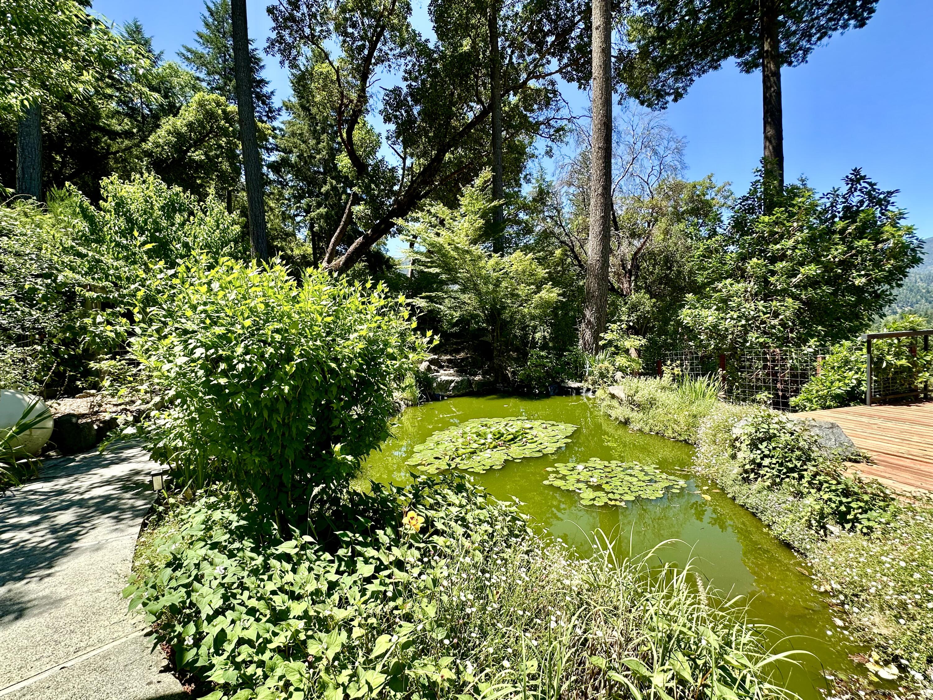 1665 Seeley Mc Intosh Road Willow Creek, CA 95573 - Photo 39 of 76