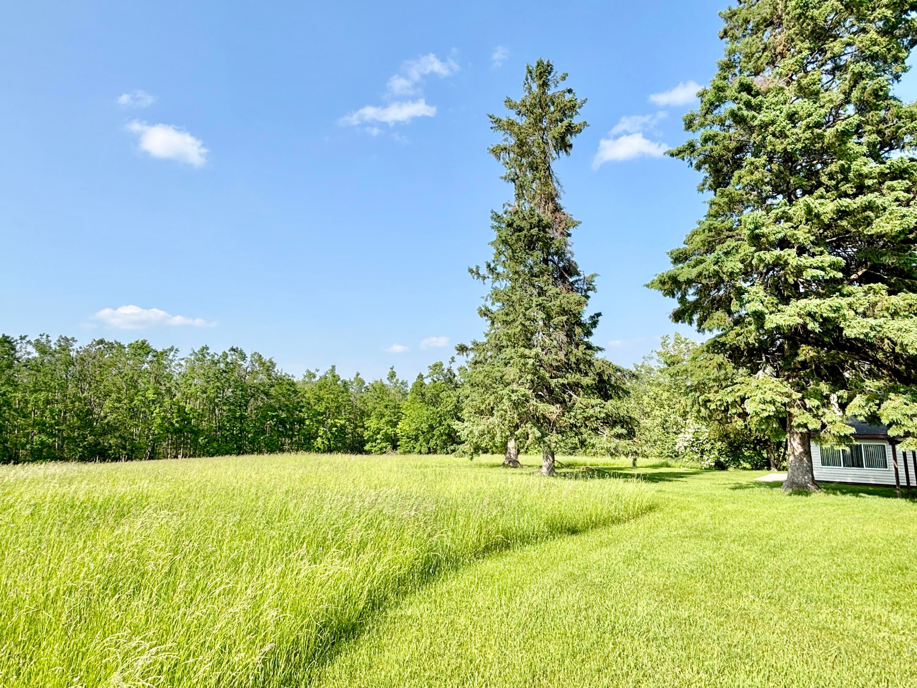 7770 Klein Road Hillman, MI 49746 - Photo 54 of 63 Gallery Image 54