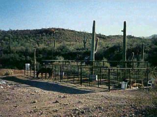 5995 West Rose Rock Road Tucson, AZ 85745 - Photo 3 of 3