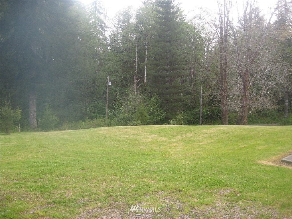 103 Larson Brothers Road Hoquiam, WA 98550 - Photo 9 of 20 Gallery Image 9