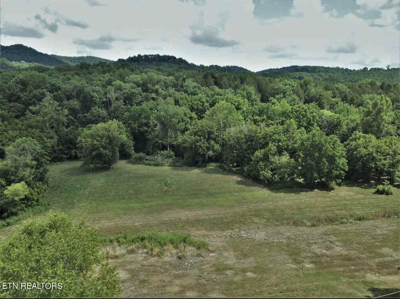 297-329 Bryan Road Rutledge, TN 37861 - Photo 1 of 12 IMG_2943