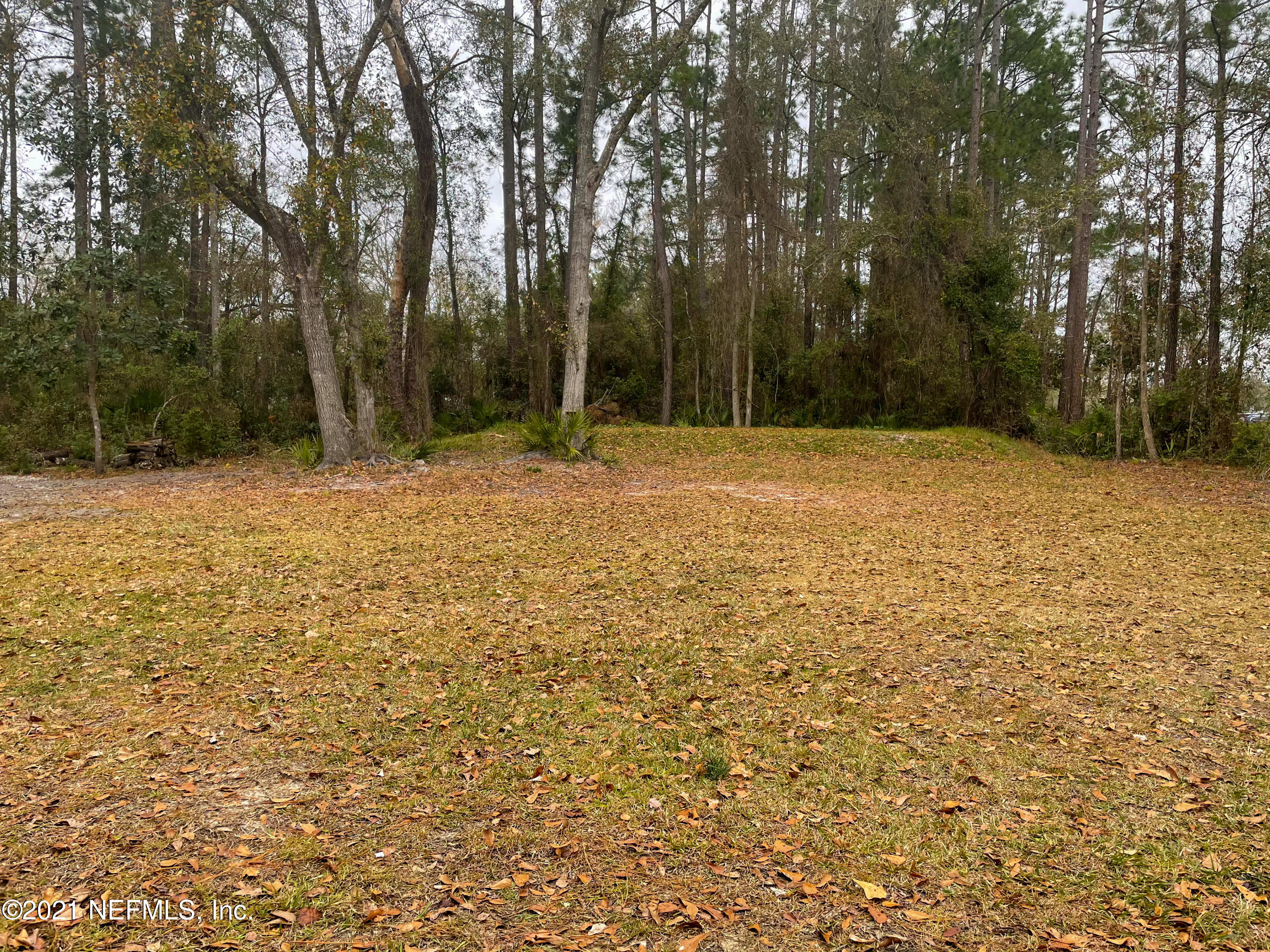 75041 Newell Road Yulee, FL 32097 - Photo 24 of 26 Side Yard