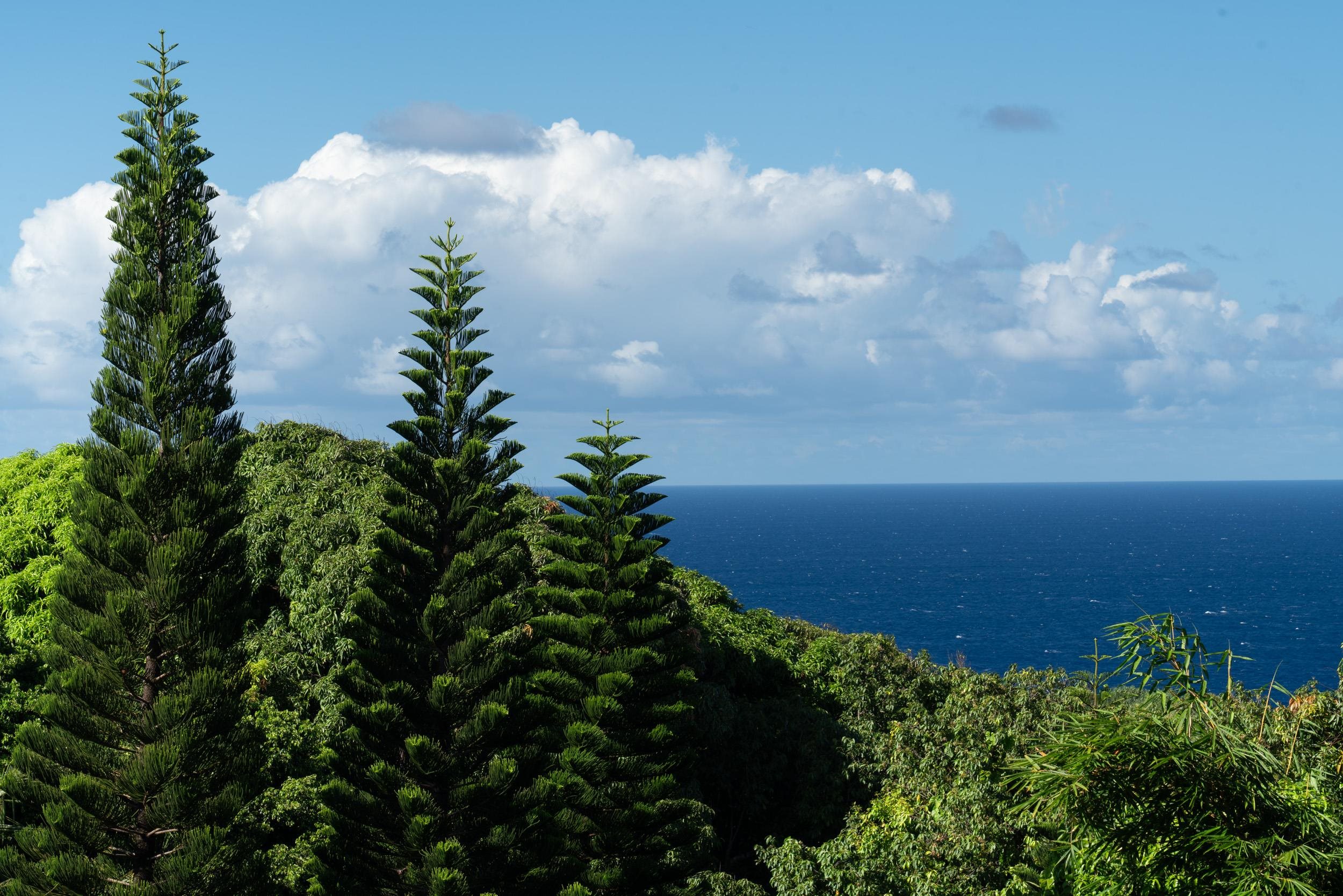 715 North Honokala Road Haiku, HI 96708 - Photo 19 of 50