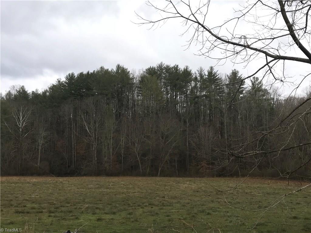 468 RR Ruritan Club Road Roaring River, NC 28669 - Photo 8 of 10 Gallery Image 8