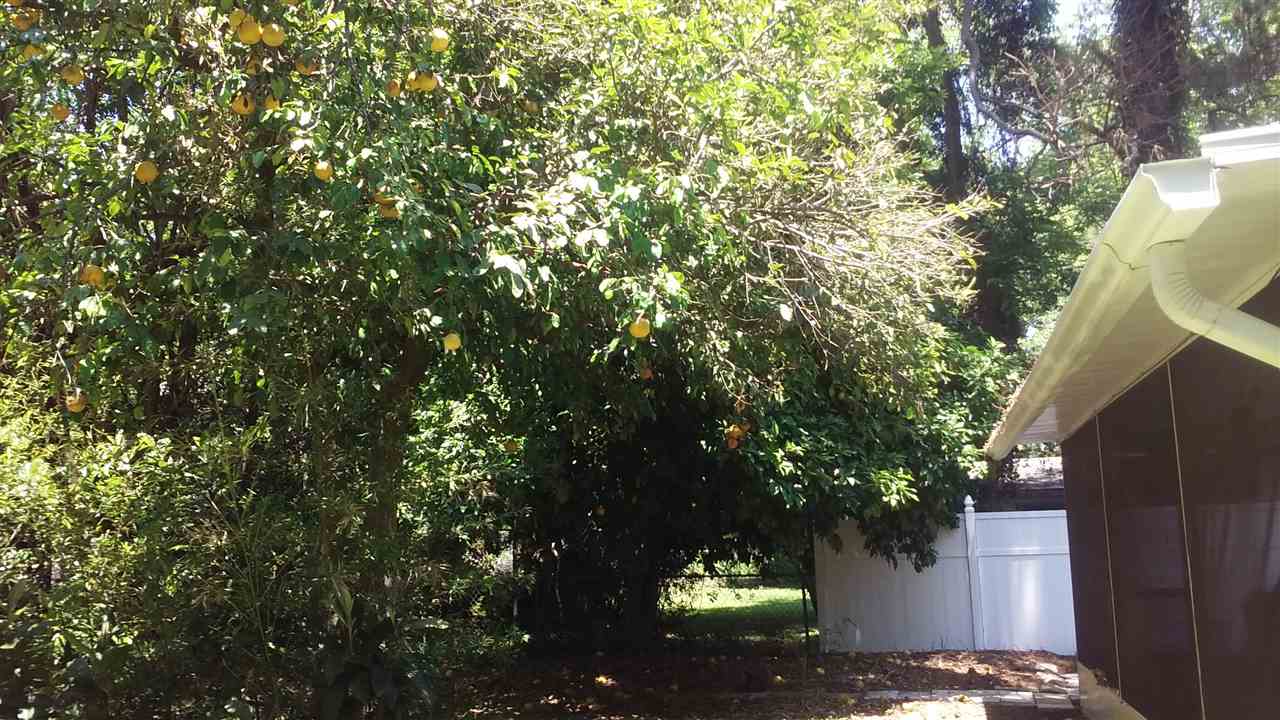 3818 Bell Road Tallahassee, FL 32303 - Photo 8 of 13 Gallery Image 8