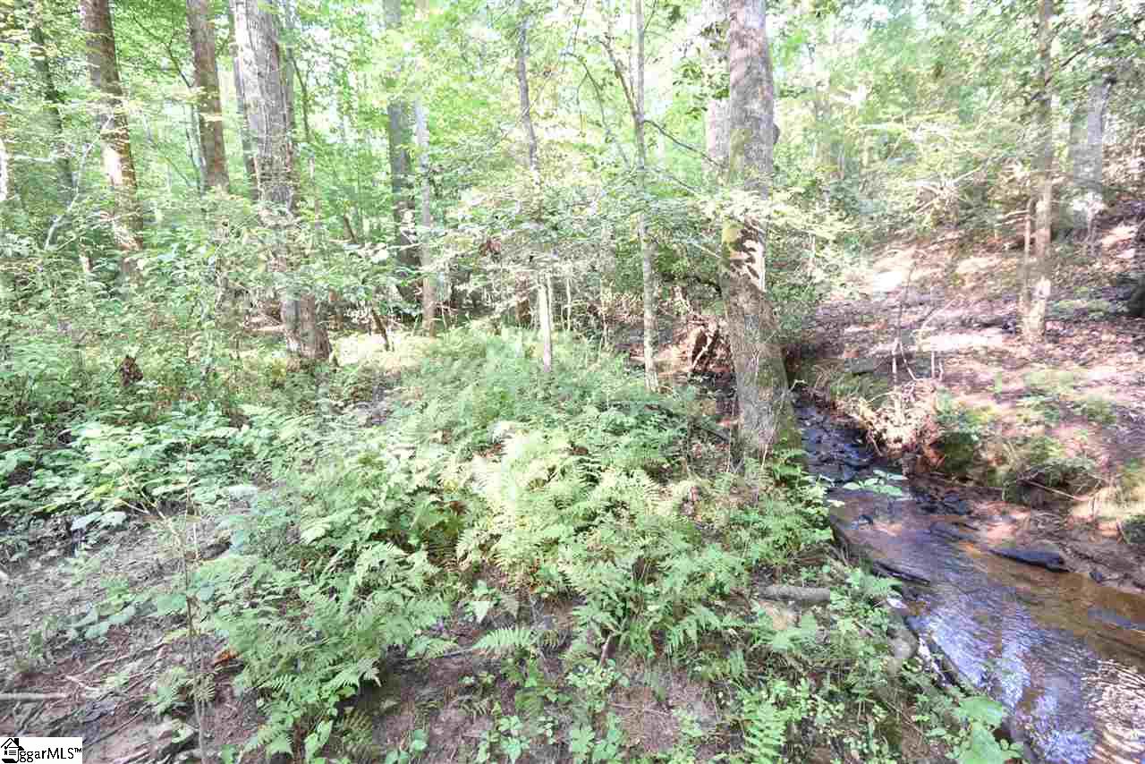 233 Motor Boat Club Road Greenville, SC 29611 - Photo 12 of 31 Gallery Image 12