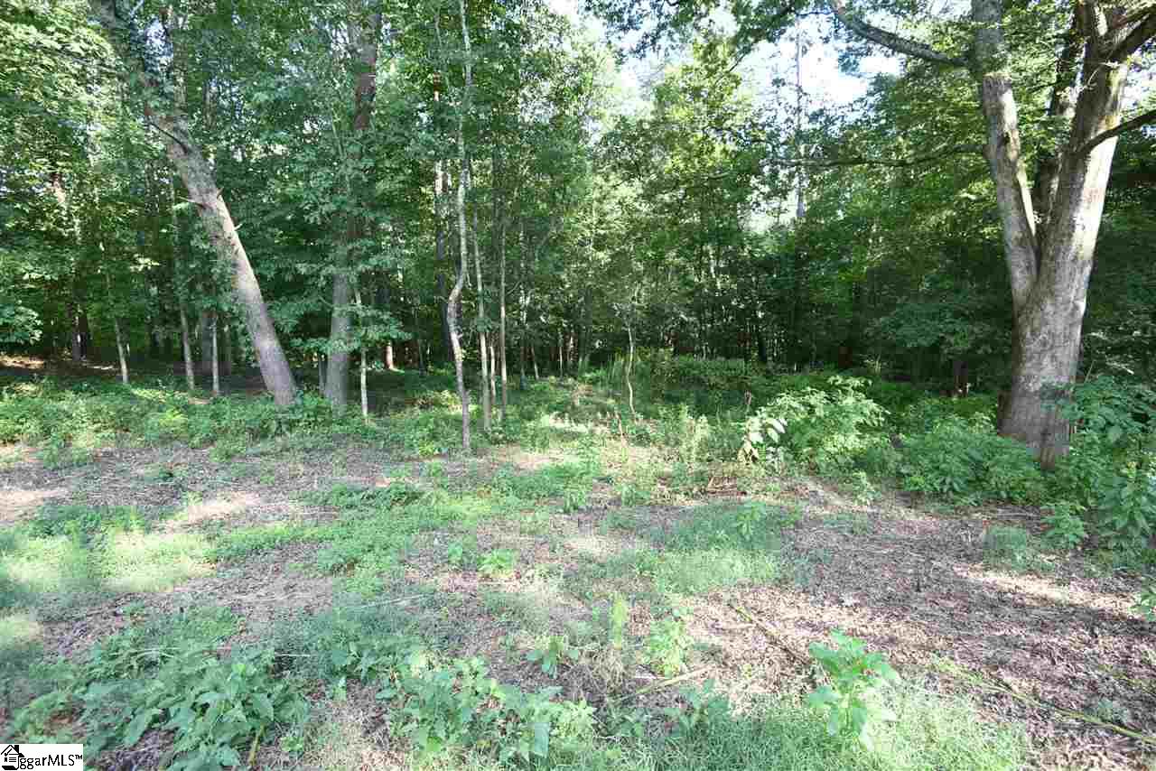 233 Motor Boat Club Road Greenville, SC 29611 - Photo 8 of 31 Gallery Image 8