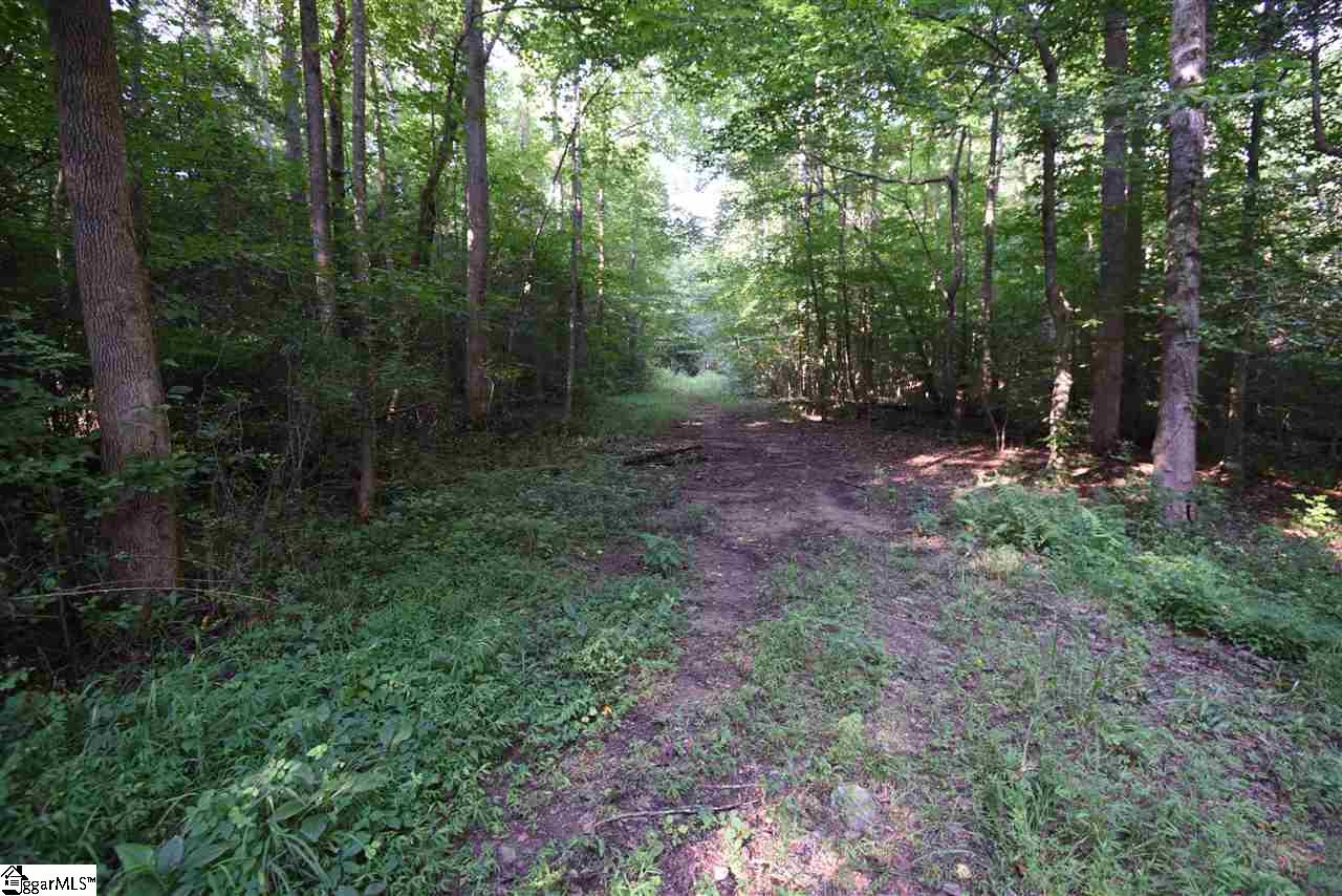 233 Motor Boat Club Road Greenville, SC 29611 - Photo 9 of 31 Gallery Image 9