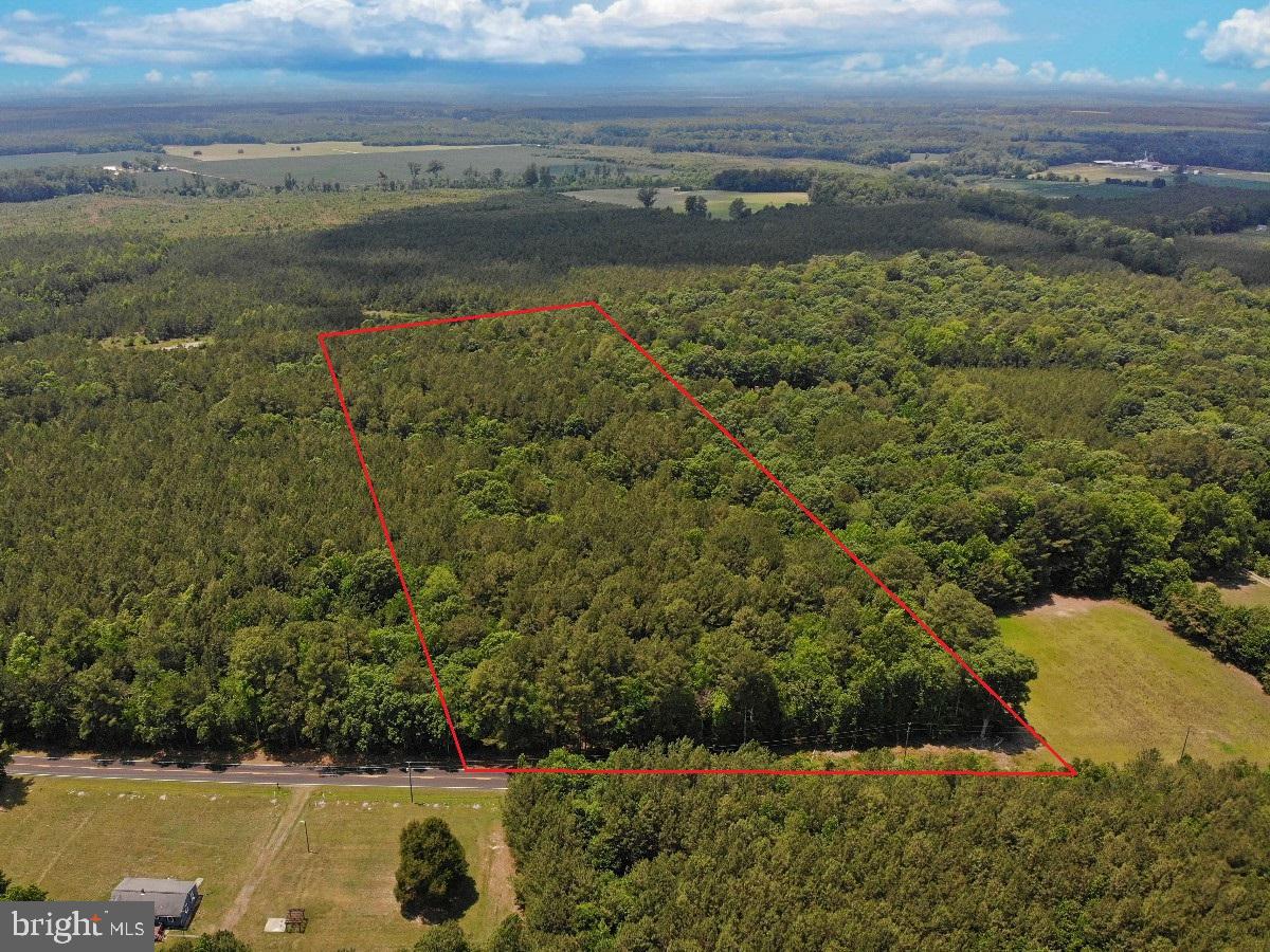 0 Salisbury Road Spring Grove, VA 23881 - Photo 2 of 23