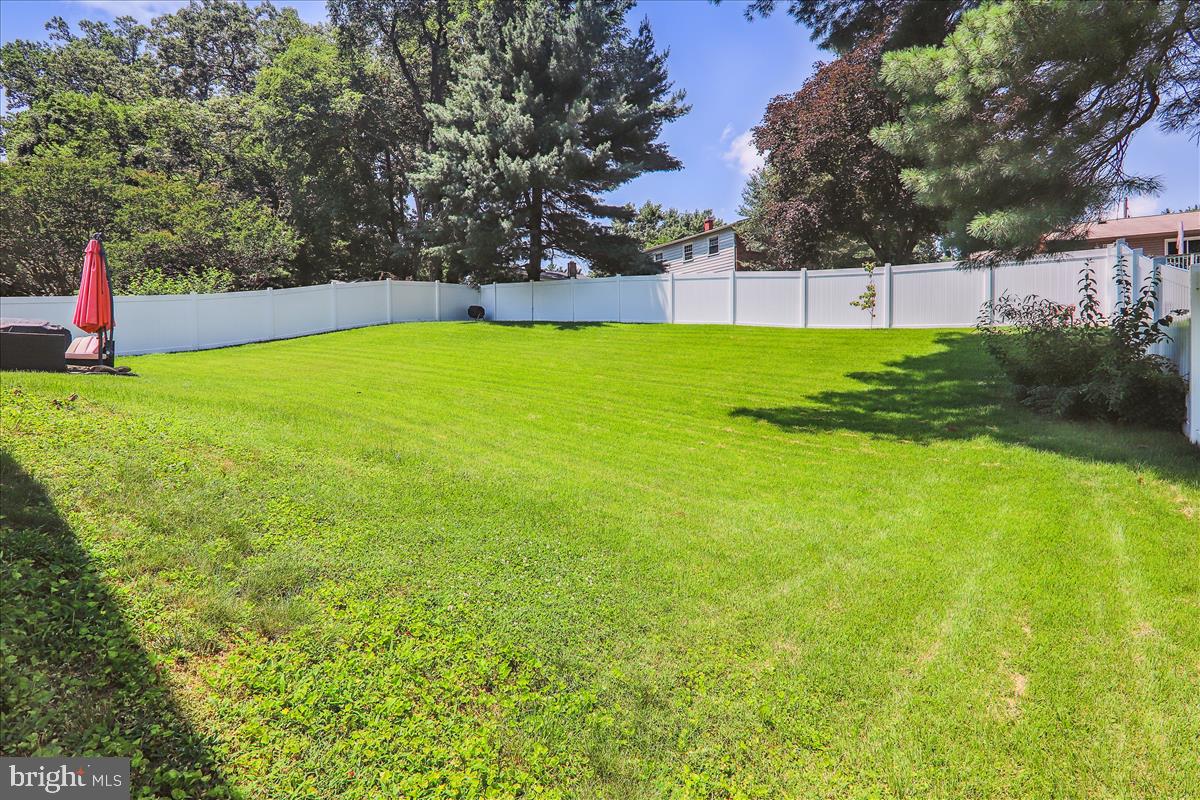 2711 Weller Road Silver Spring, MD 20906 - Photo 17 of 80 Huge Fenced Yard