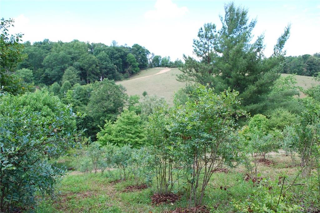 60 Snelson Road Alexander, NC 28701 - Photo 14 of 24 Gallery Image 14